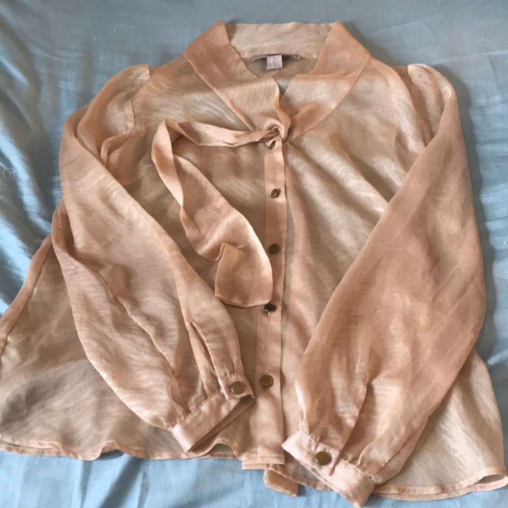 Champagne color sheet button down blouse!